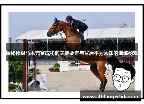 揭秘顶级马术竞赛成功的关键要素与背后不为人知的训练秘笈