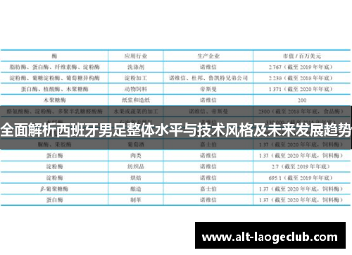 全面解析西班牙男足整体水平与技术风格及未来发展趋势