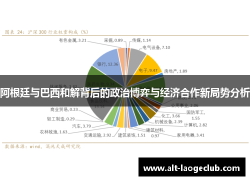 阿根廷与巴西和解背后的政治博弈与经济合作新局势分析